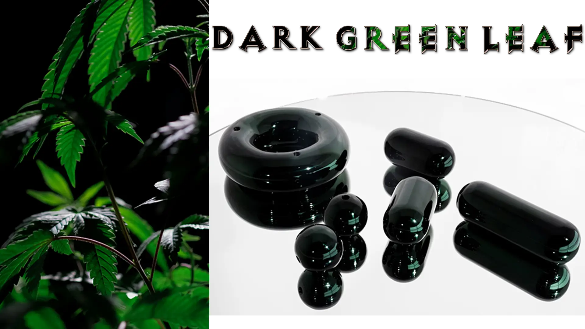 Dark Green Leaf